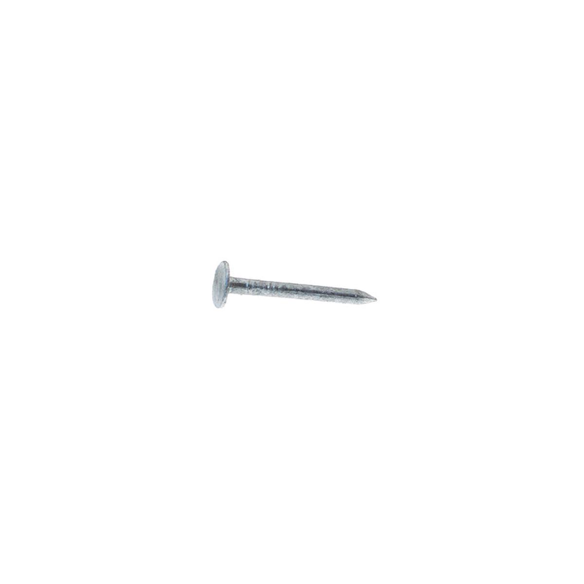 Grip-Rite 4D 1-1/2 in. Roofing Hot-Dipped Galvanized Steel Nail Flat Head 30 lb