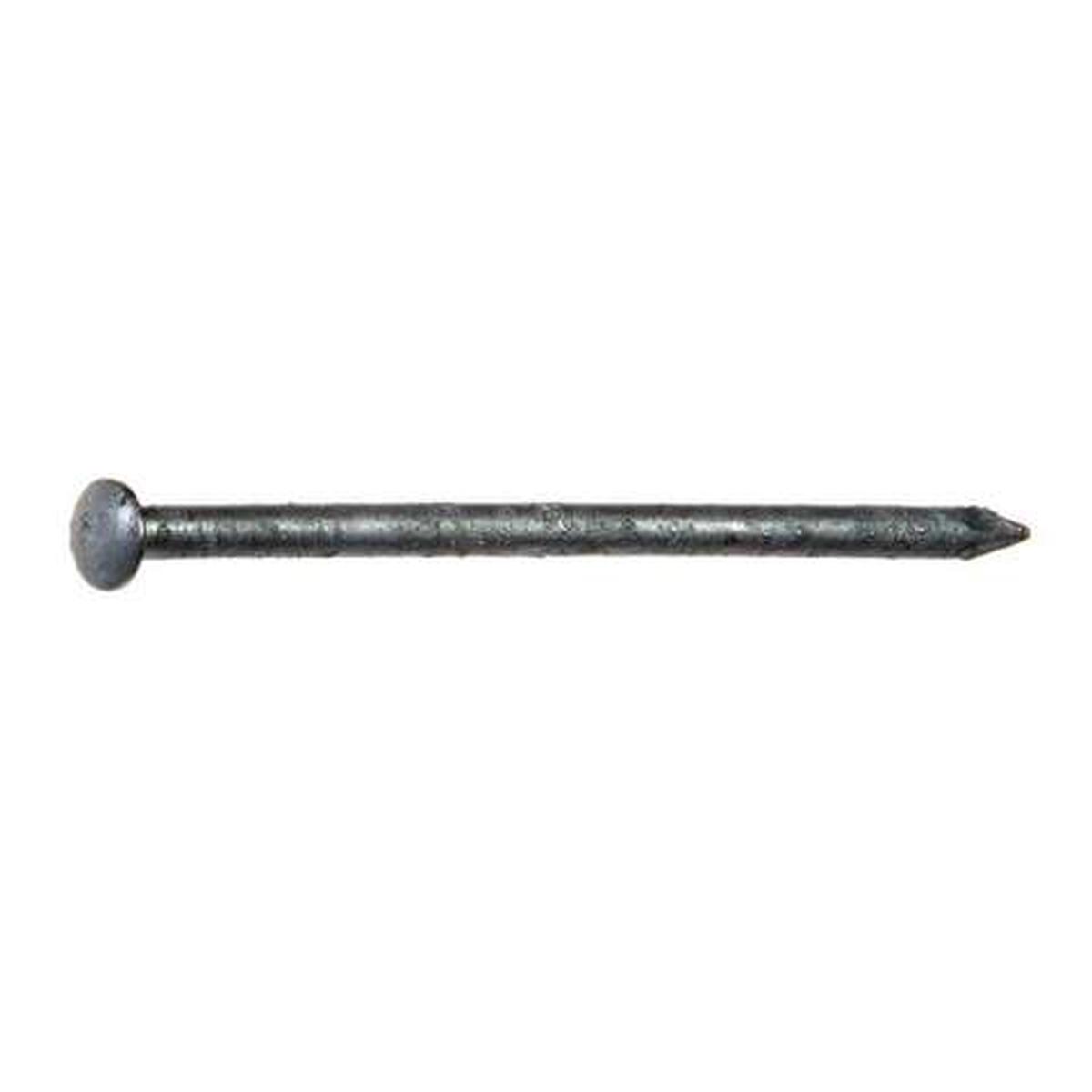 Grip-Rite 8D 2-1/2 in. Siding Hot-Dipped Galvanized Steel Nail Oval Head 5 lb, Pack of 6