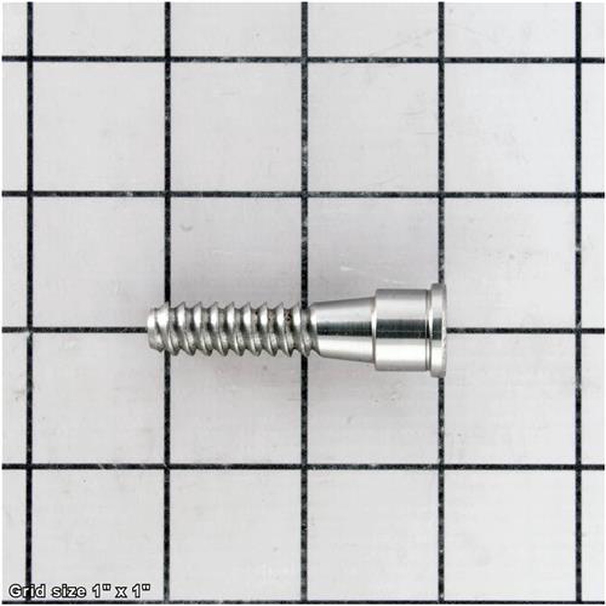 WOODWORM SCREW