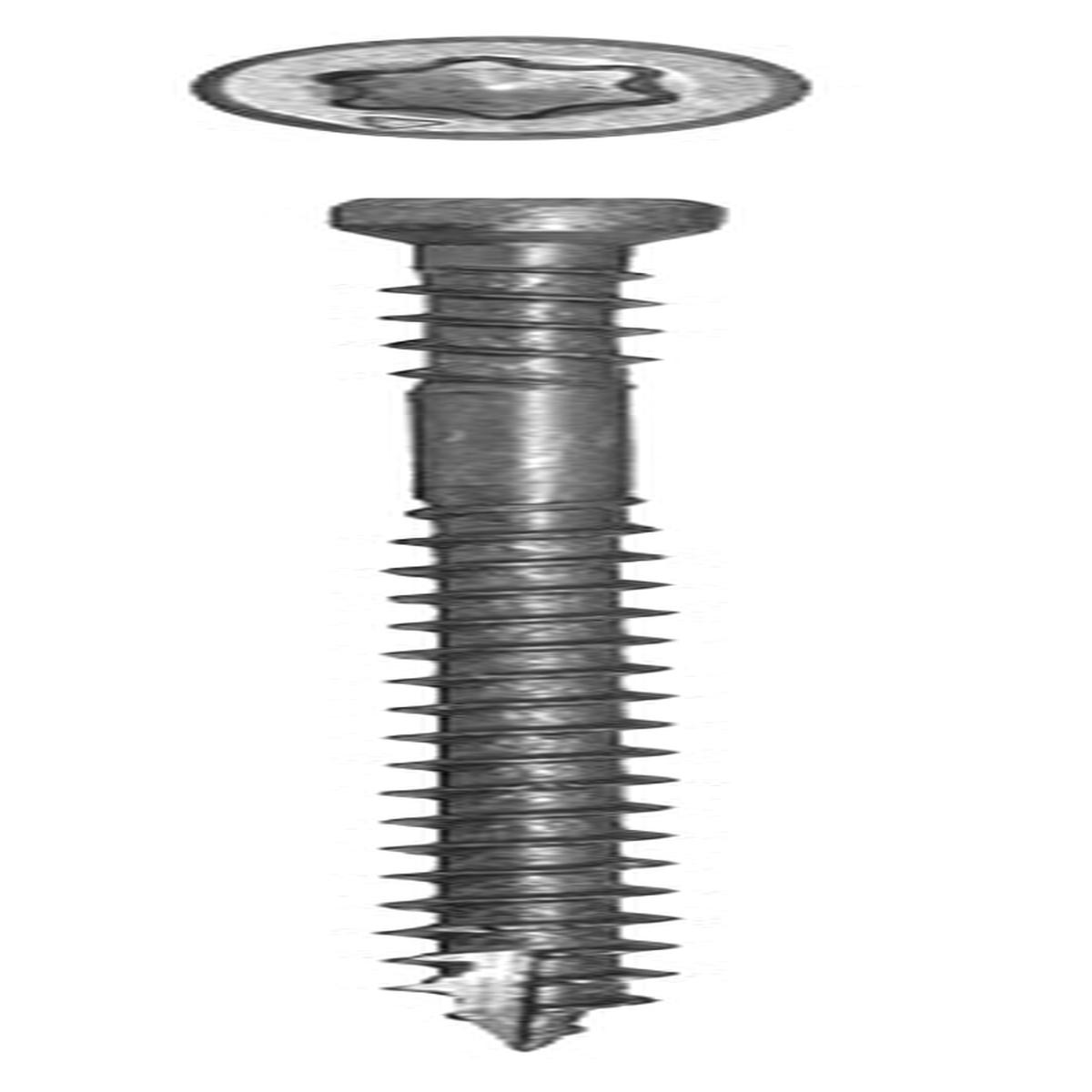 GRK Fasteners PHEINOX Series 36079 Screw 2-12 in L W-Cut Thread Recessed Star Drive Zip-Tip Point Steel 500 PK