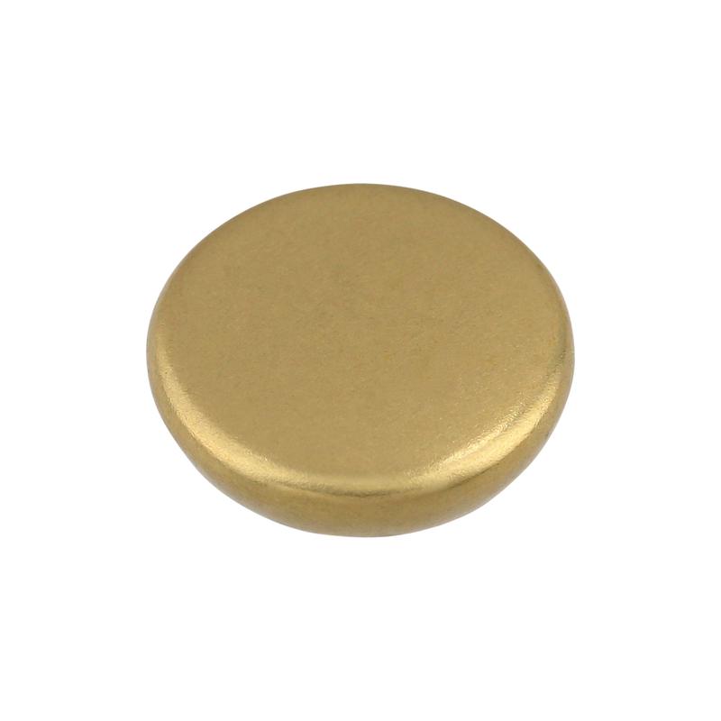 Size 21&22 Brass, Segma Cap, Solid Brass
