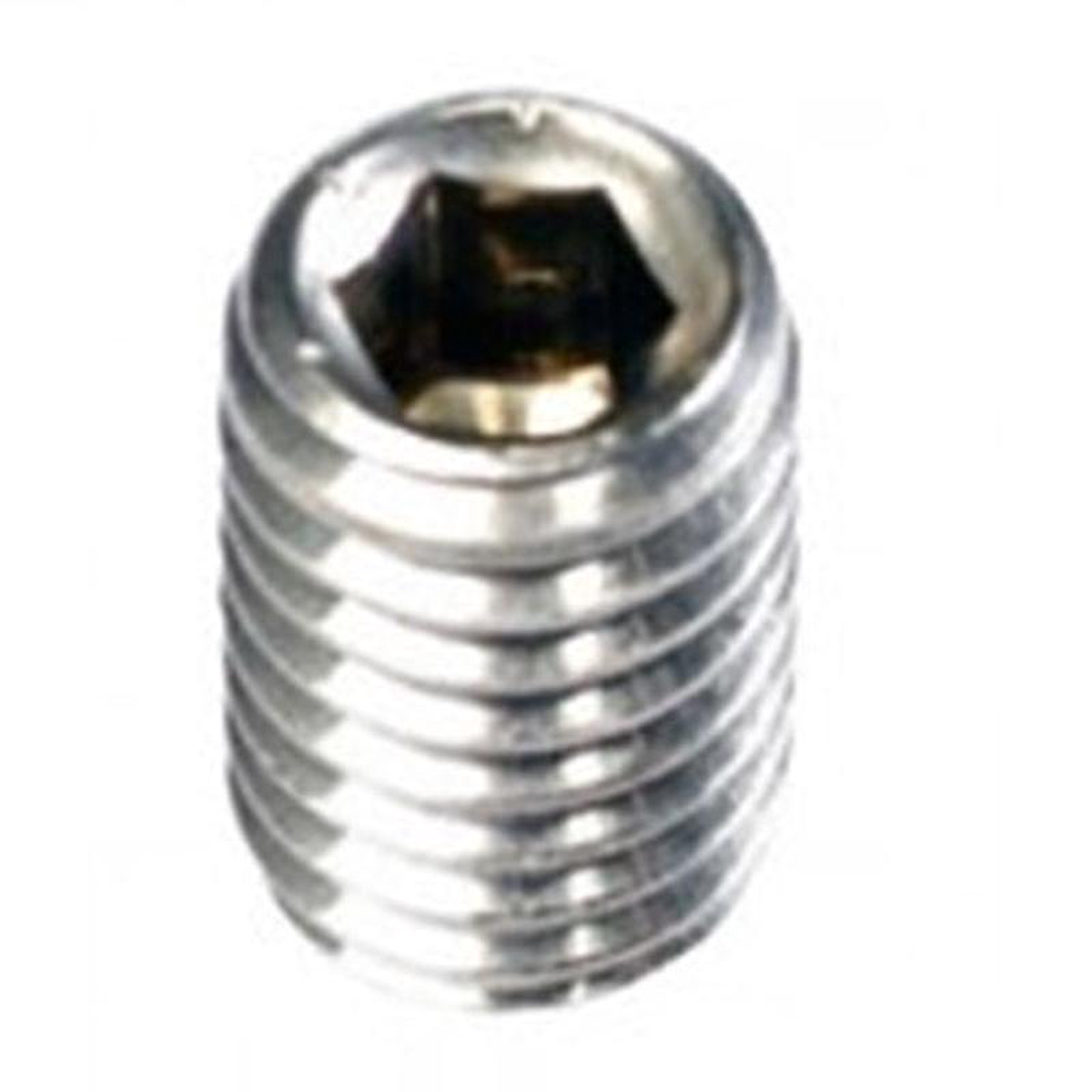 Champion M8 X 8mm Metric Grub Screw 316A4 -10Pk