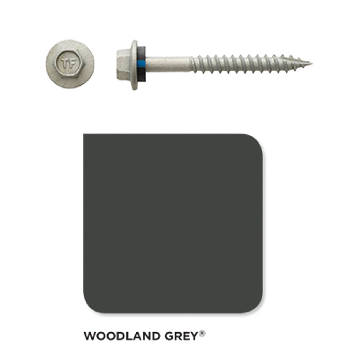 Roofing Screw Timber 12# 65mm Colorbond (100 Pack)