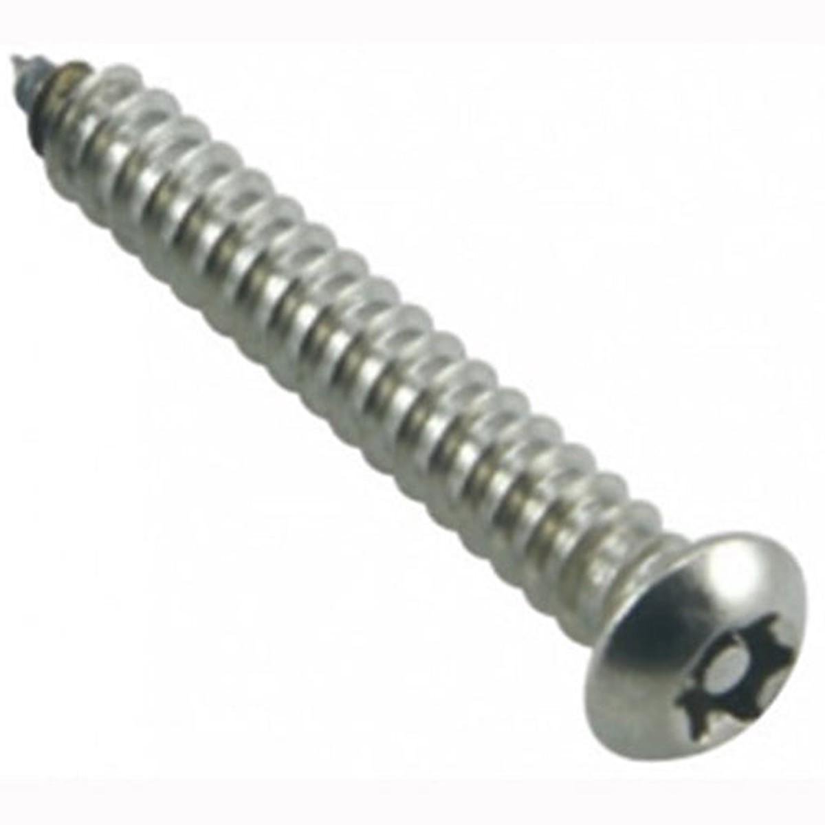 Champion 8G X 3/4In Self-Tapping Screw Pan Tpx 304/A2 -15Pk