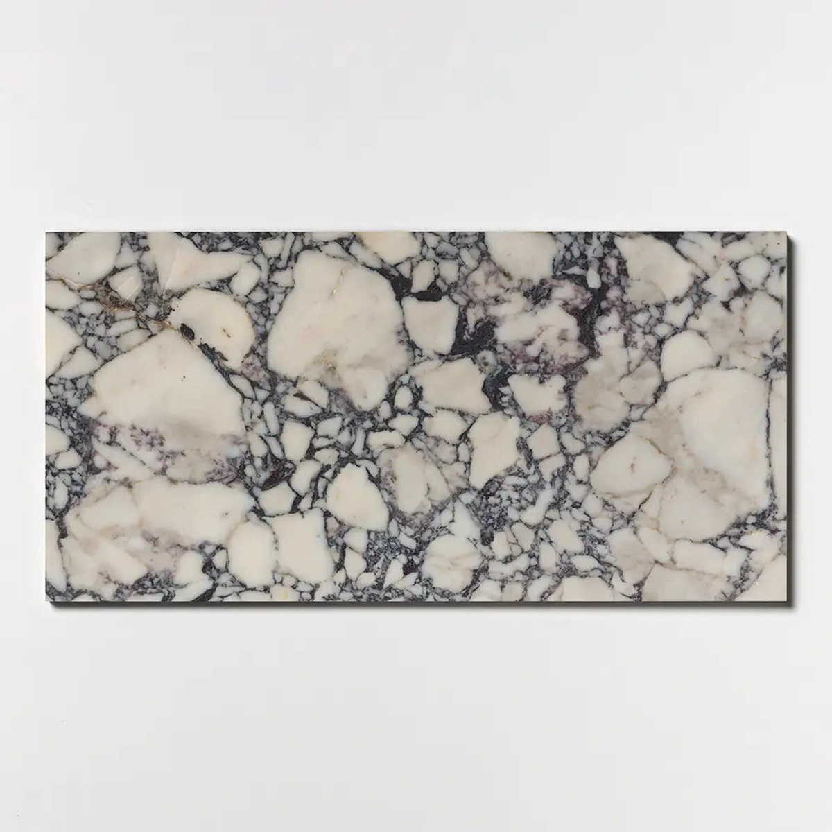 Calacatta Picasso Marble 12X24 Calacatta Picasso Honed